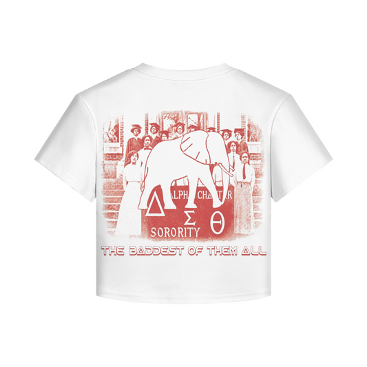 Delta Sigma Theta Baby Tee