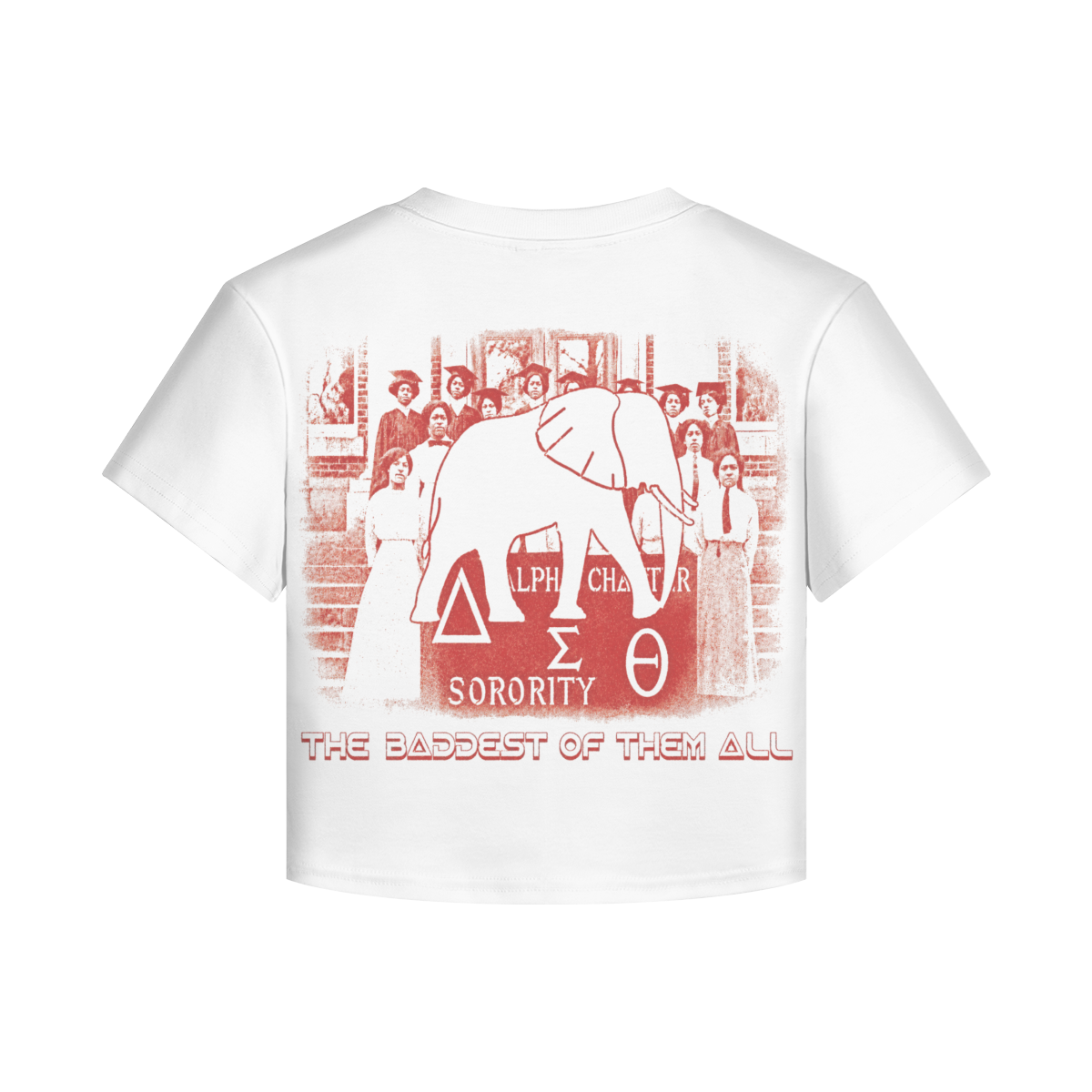 Delta Sigma Theta Baby Tee